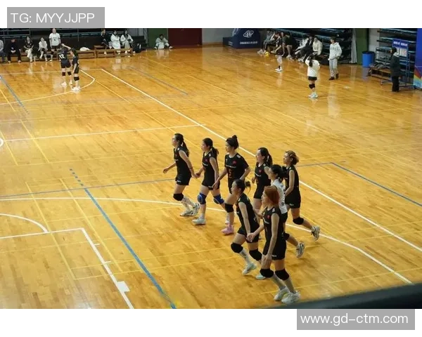 排球热点：解读南京排球队的阵地战